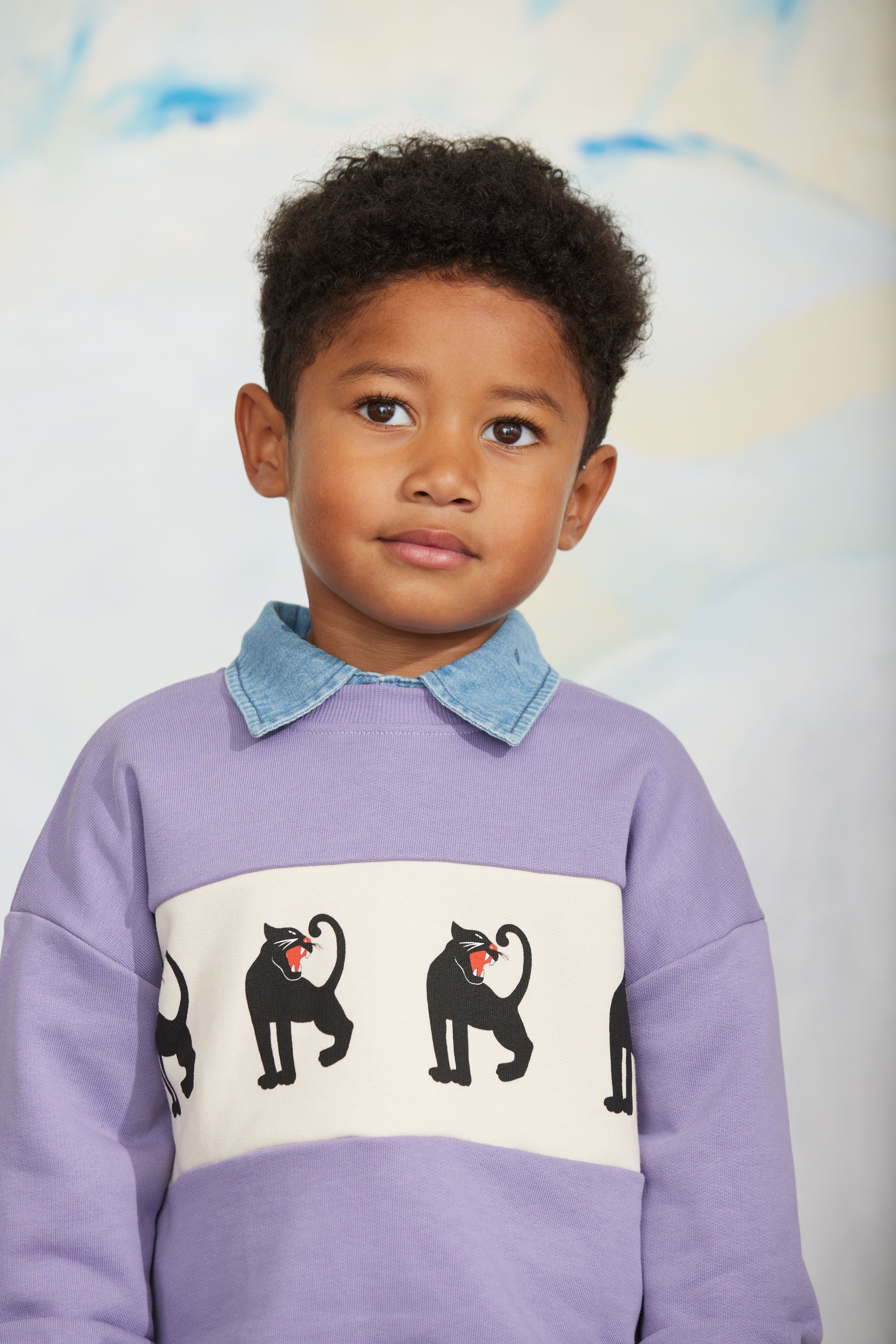 Mini Rodini Panther Panel Sweatshirt