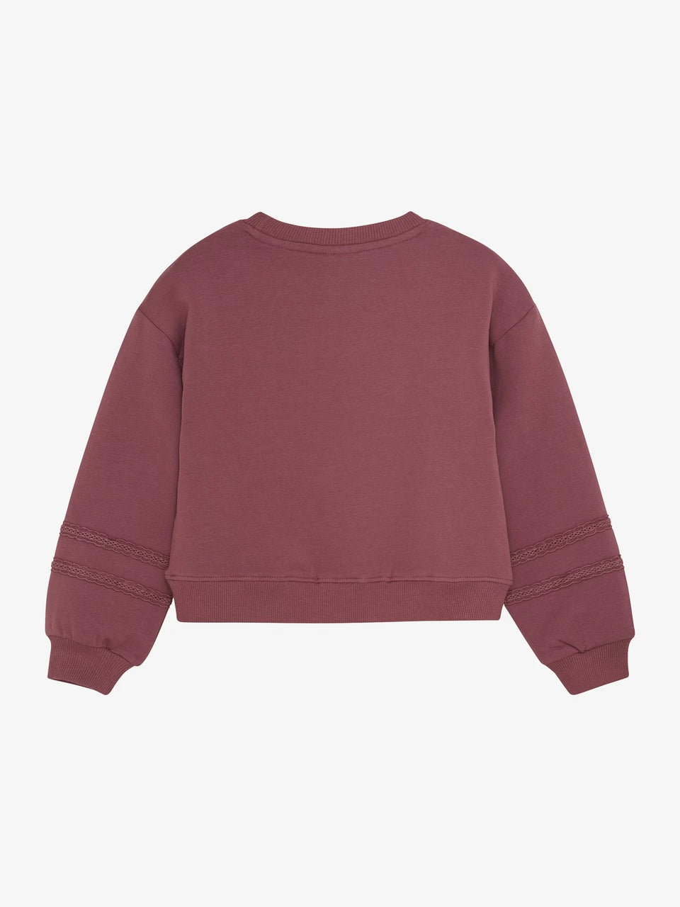 And Fant Sweatshirt LS Roan Rouge