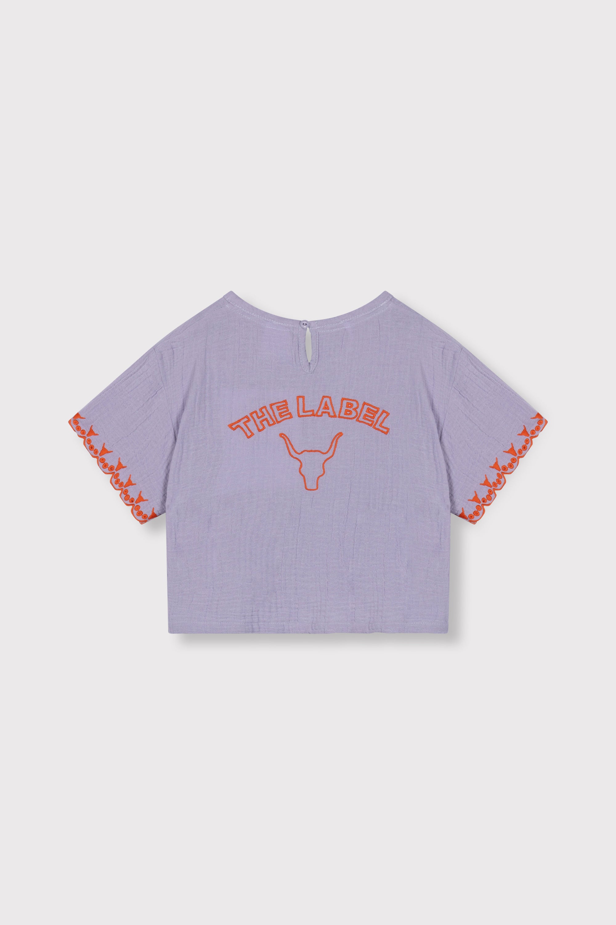 Alix Mini Woven Embroidery Sleeves Top