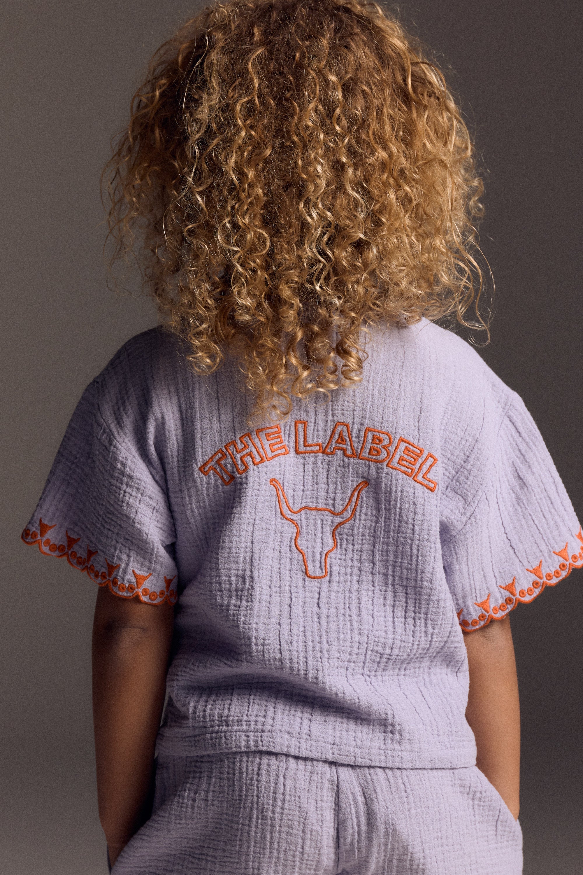 Alix Mini Woven Embroidery Sleeves Top