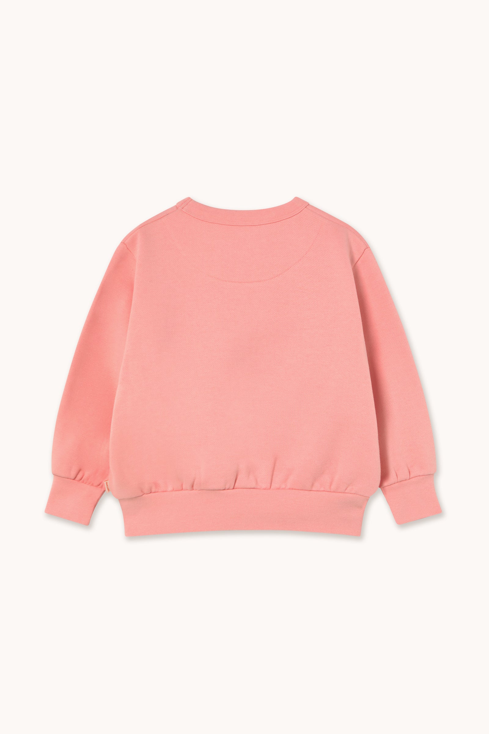Tiny Cottons Worm Graphic Sweatshirt