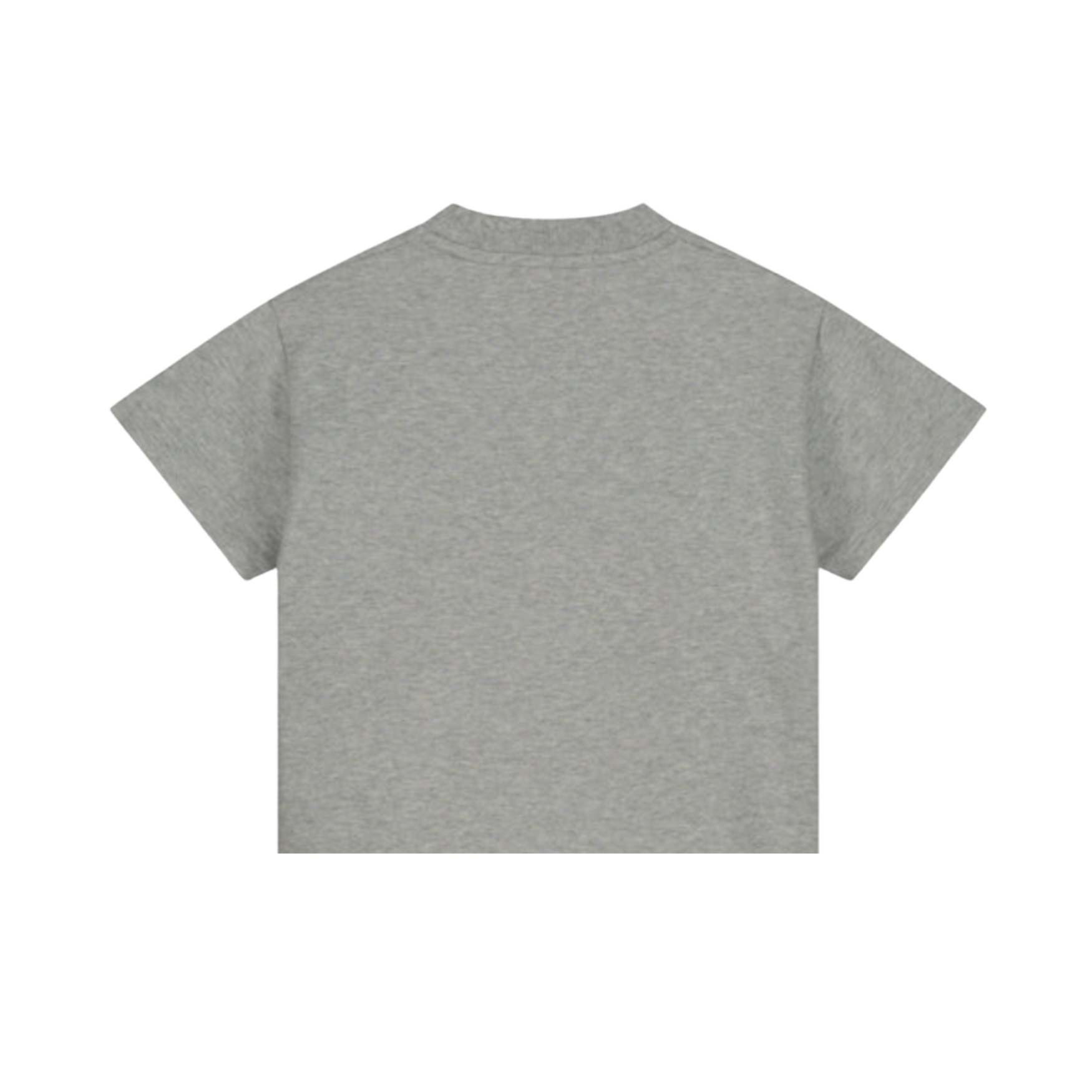 Charlie Petite Presley Grey Melange T-shirt