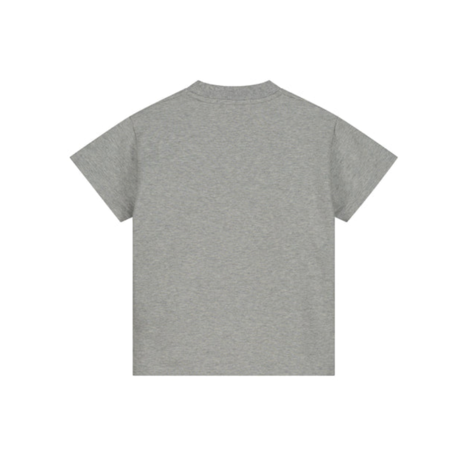 Charlie Petite Pedro T-shirt Grey Melange Unisex