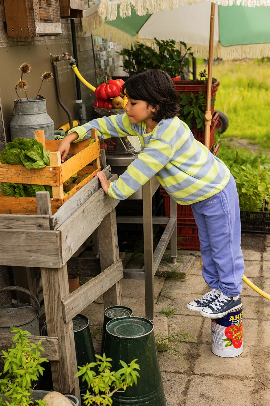 Sproet & Sprout Sweatshirt Terry Stripes Boys