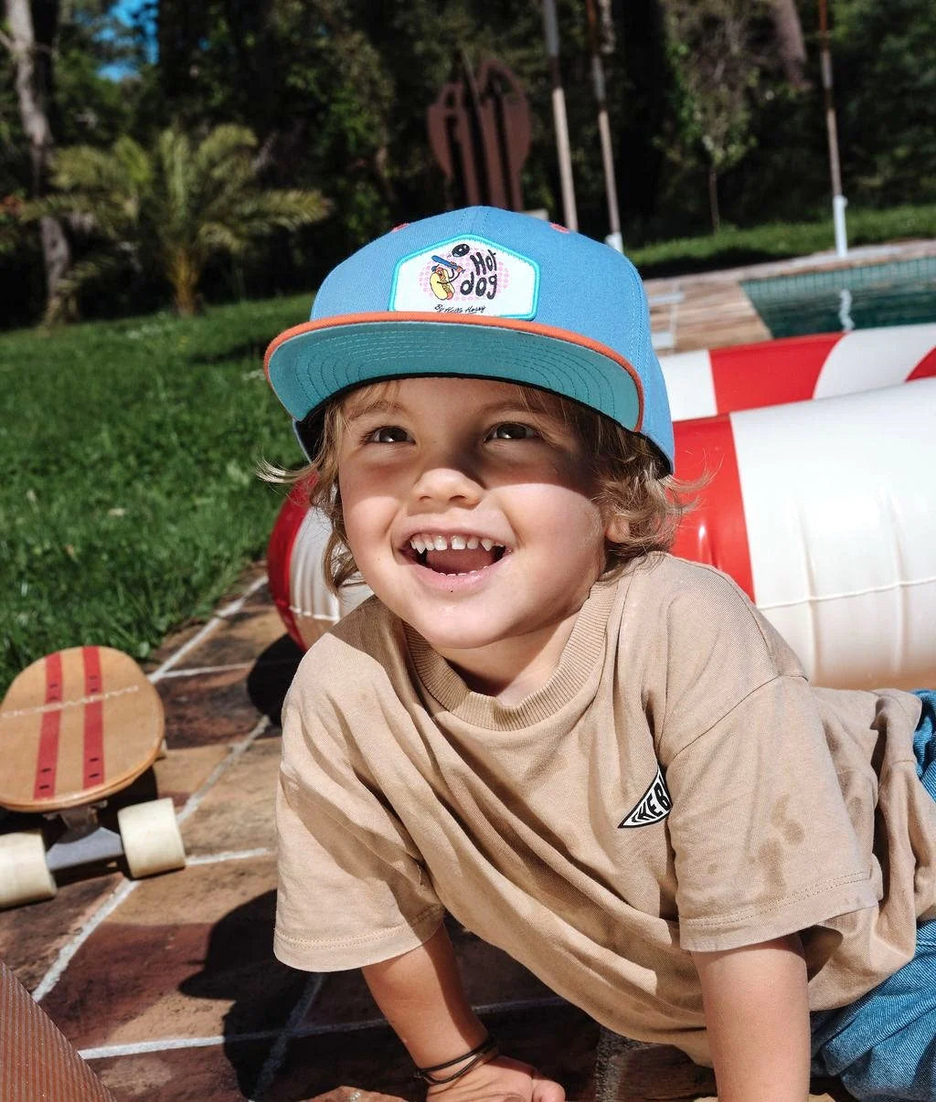 Hello Hossy Hotdog Pet