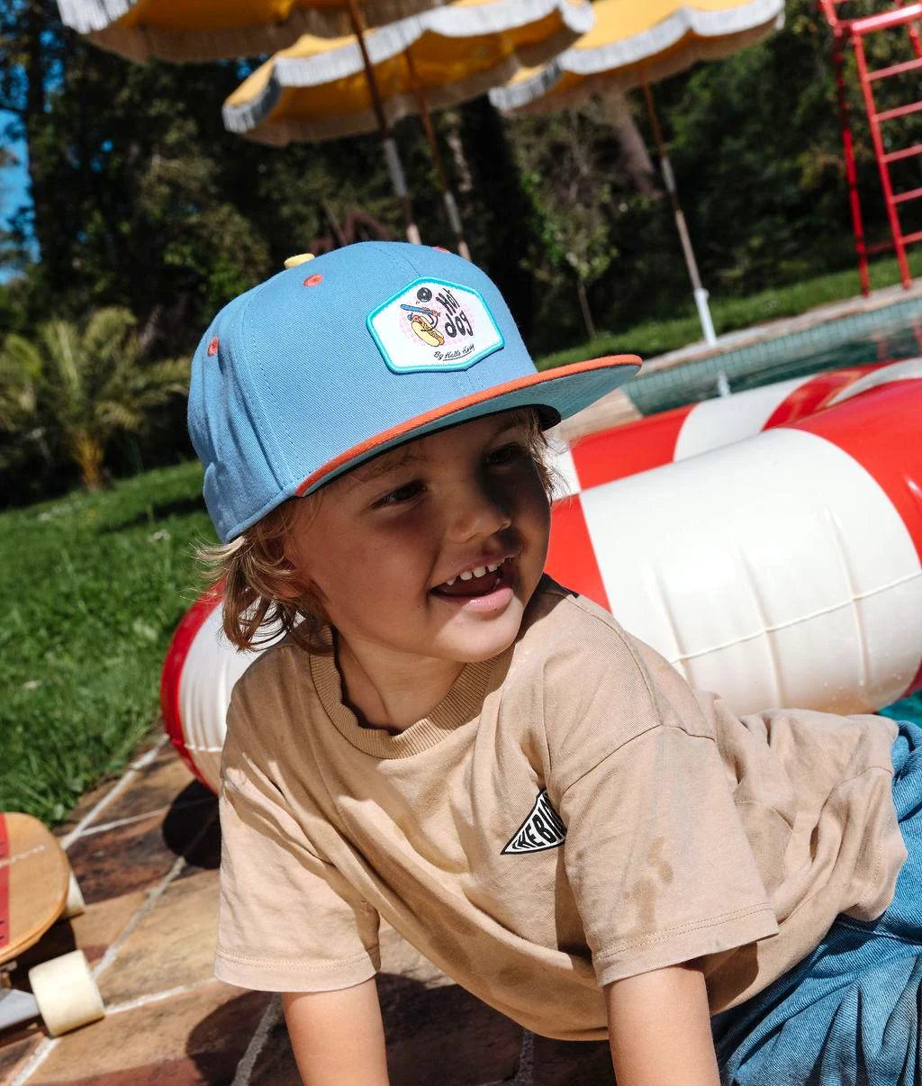 Hello Hossy Hotdog Pet