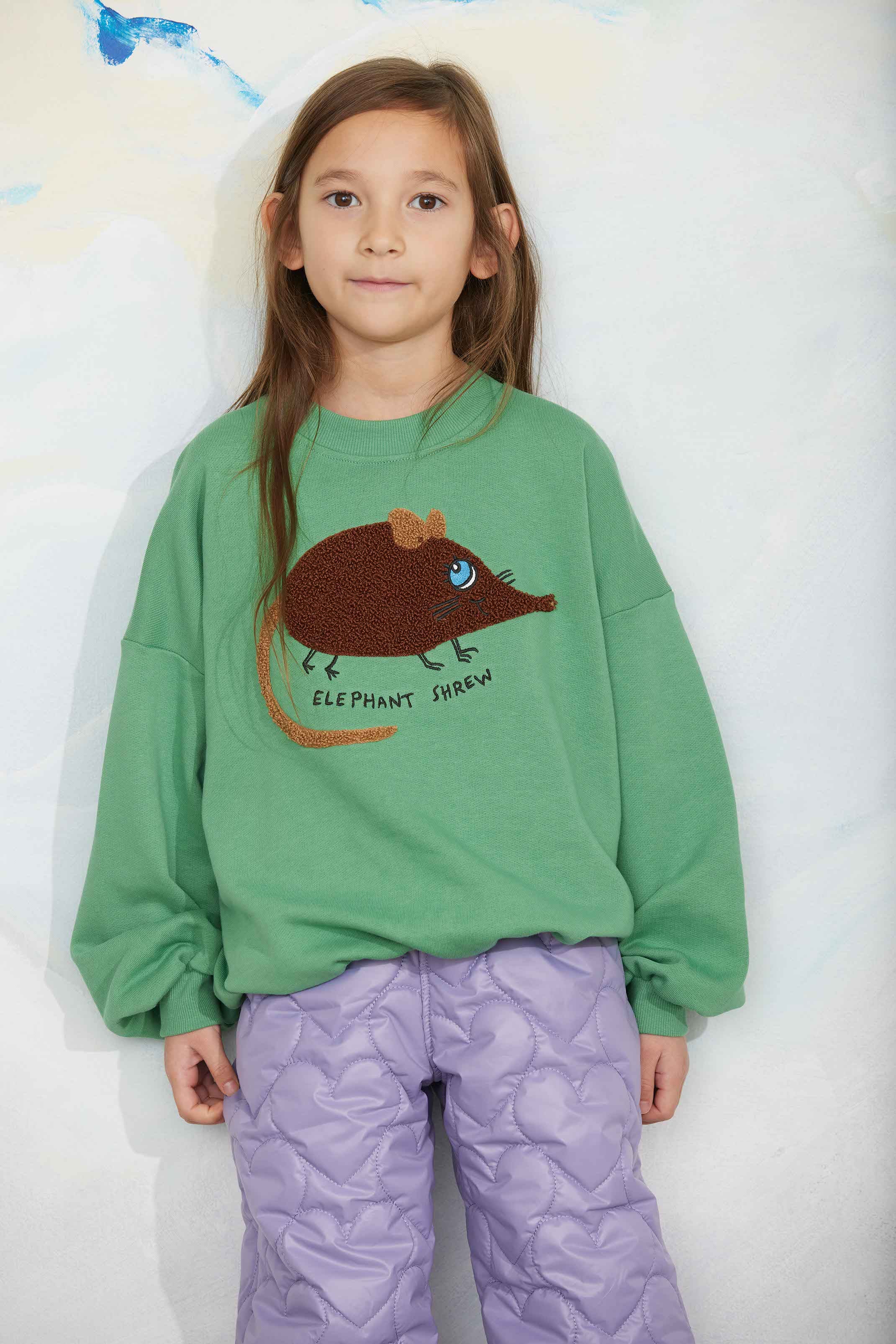 Mini Rodini Elephant Shrew Chenille Sweatshirt