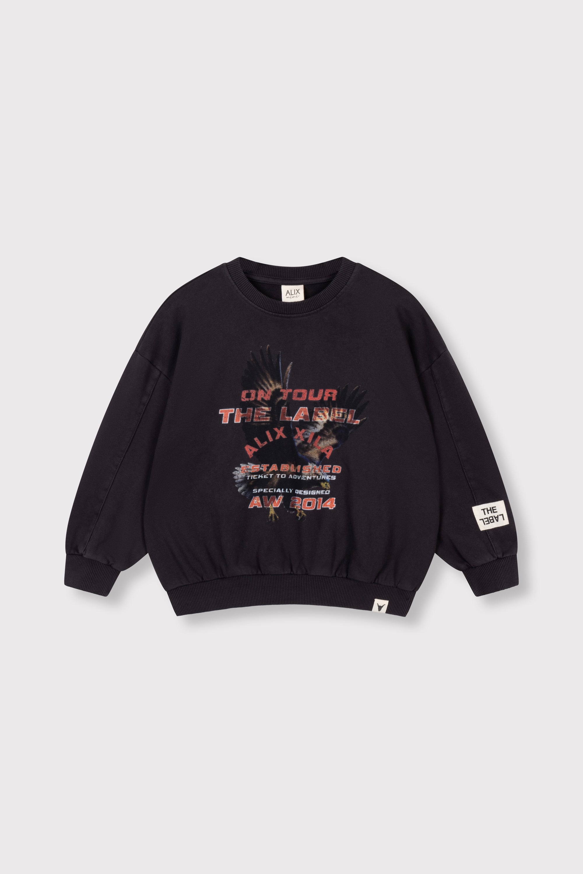 Alix Mini Kids Knitted Eagle Sweater Unisex