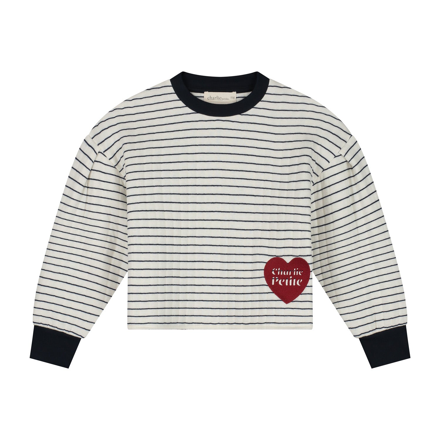Charlie Petite Sien Sweater Stripes