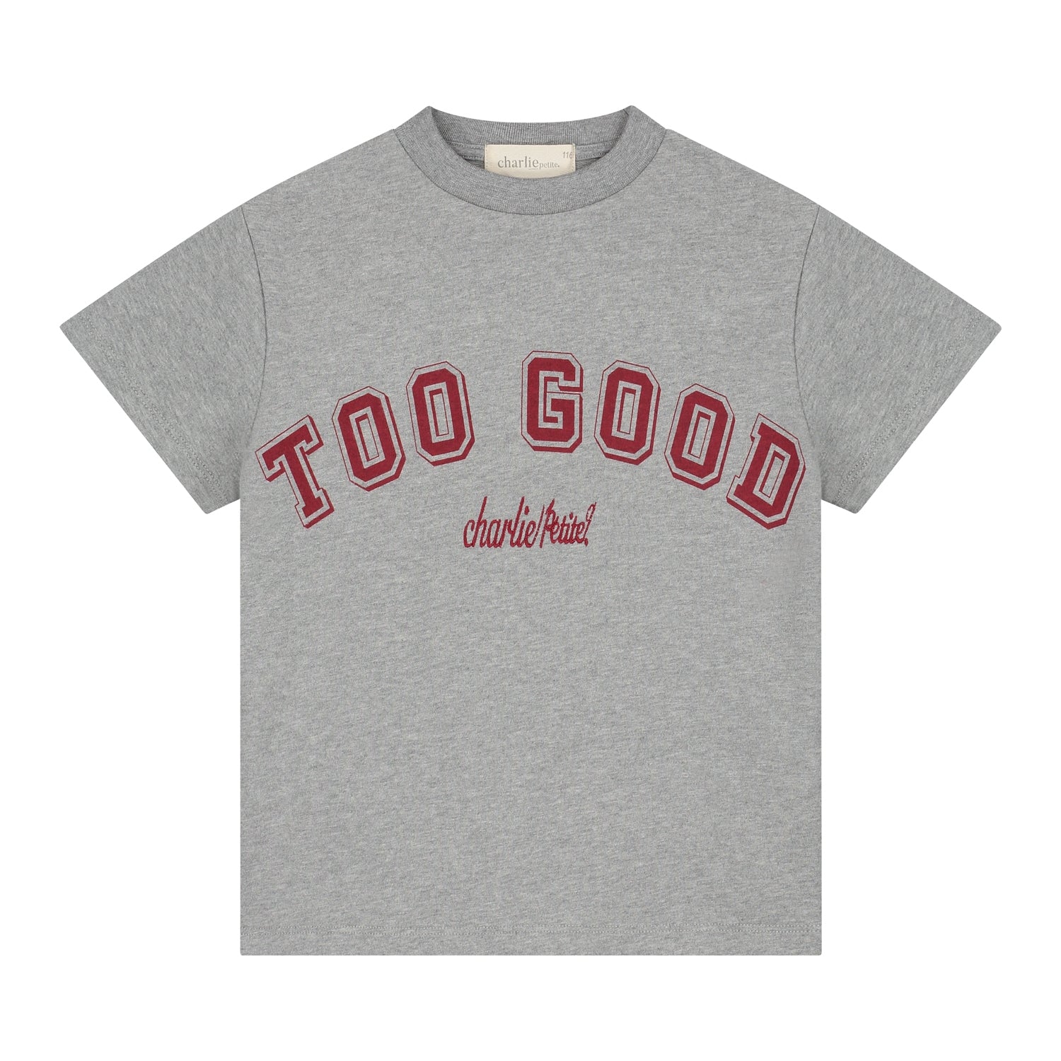 Charlie Petite Jovi T-shirt Grey Melange